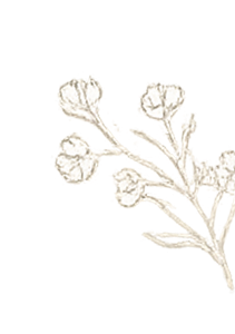 ChatGPT Image 18 يناير 2026، 03_50_07 م 2 (3)